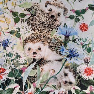 Molo Porcupine Wildflowers Tee in sz 10 yrs